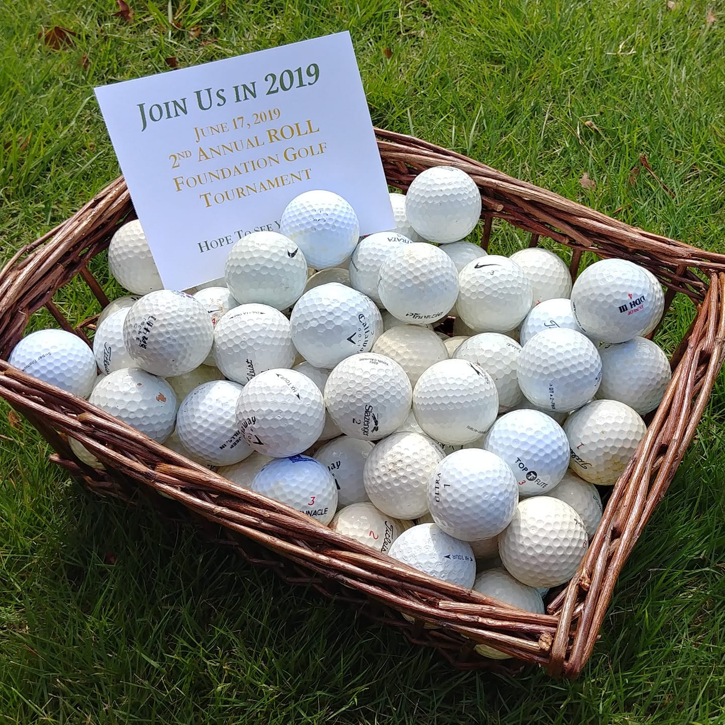 ROLL Foundation community event photo 2